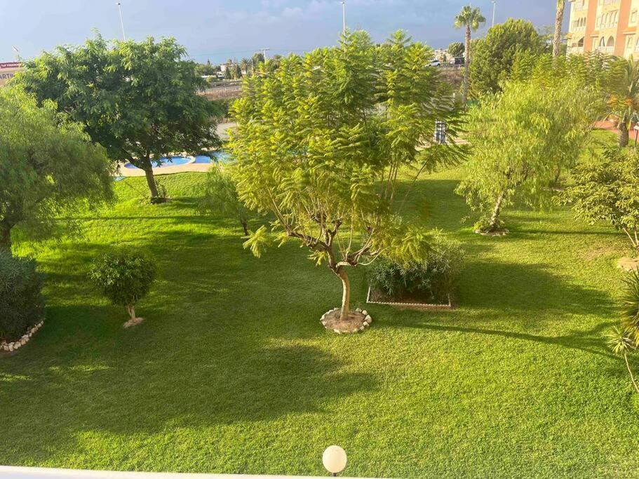 Casa Di Mateo With Garden View And Swimming Pool Lägenhet Torrevieja Exteriör bild