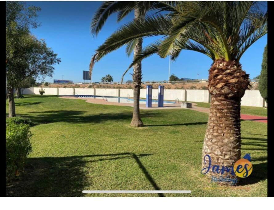 Casa Di Mateo With Garden View And Swimming Pool Lägenhet Torrevieja Exteriör bild